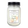 12oz Crisp Apple Scented Mason Jar Candle by Hudson 43