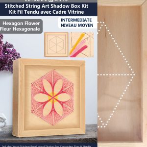 Leisure Arts 11 Hexagon Flower Wood Stitching Kit With Shadow Box - 1
