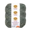 Lion Brand Rewind 219yds Bulky Polyester Blend Yarn 3 Bundle