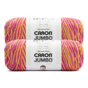Caron Jumbo 595yds Worsted Polyester Yarn 2 Bundle - Zinnias
