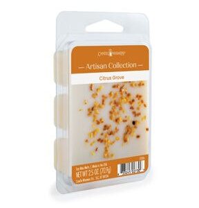 Candle Warmers 2.5oz Sun Kissed Orchid Wax Melts - 1