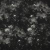 Galaxy Black 108 Wide Cotton Fabric