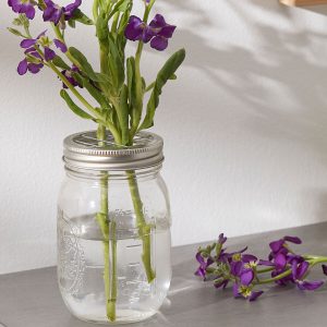 3 Mason Jar With Flower Frogs by Park Lane - 1