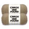 Caron One Pound 812yds Worsted Acrylic Yarn 2 Bundle