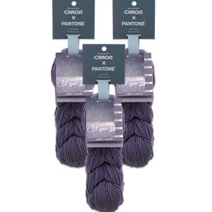 Caron x Pantone Yarn 3 Bundle - Purple Mist